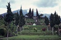 bali 1995