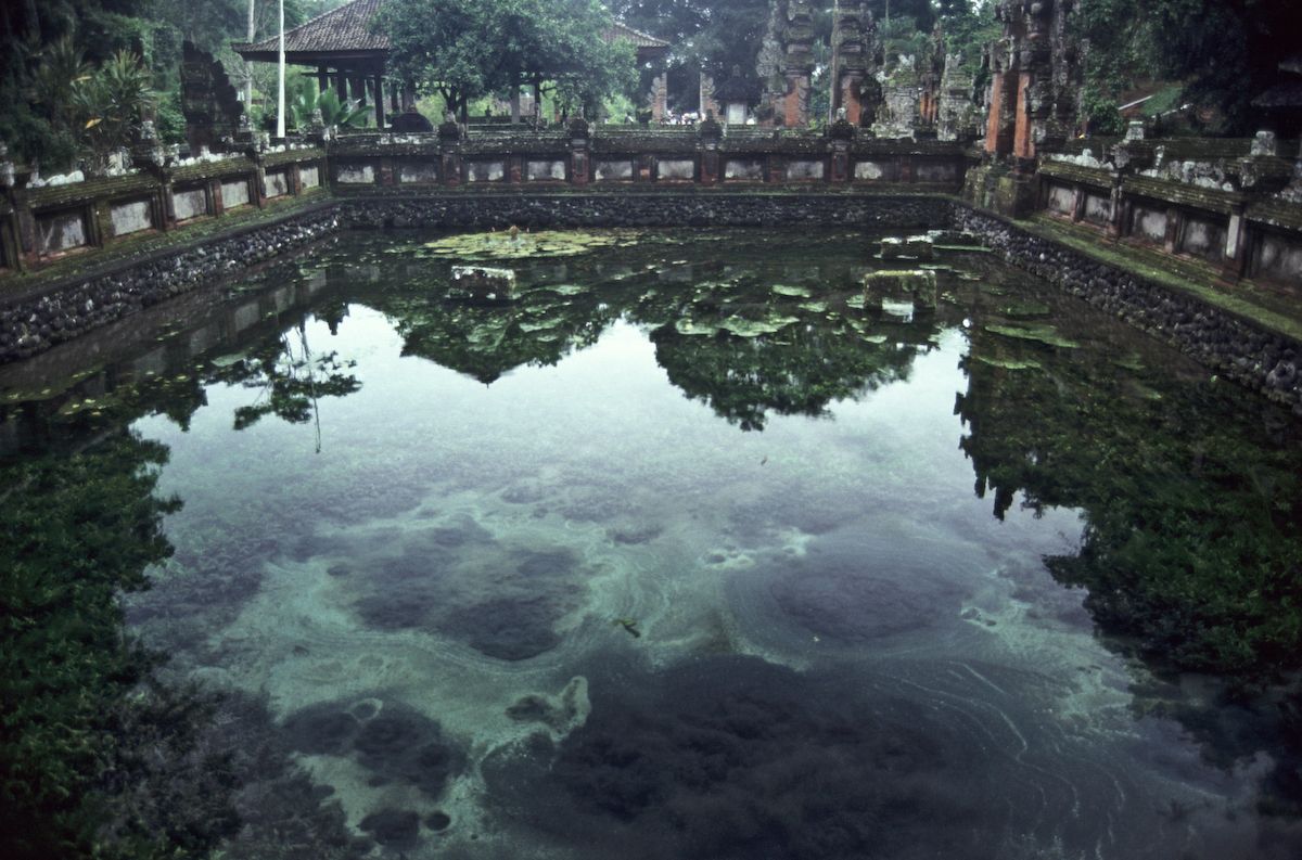 bali 1995