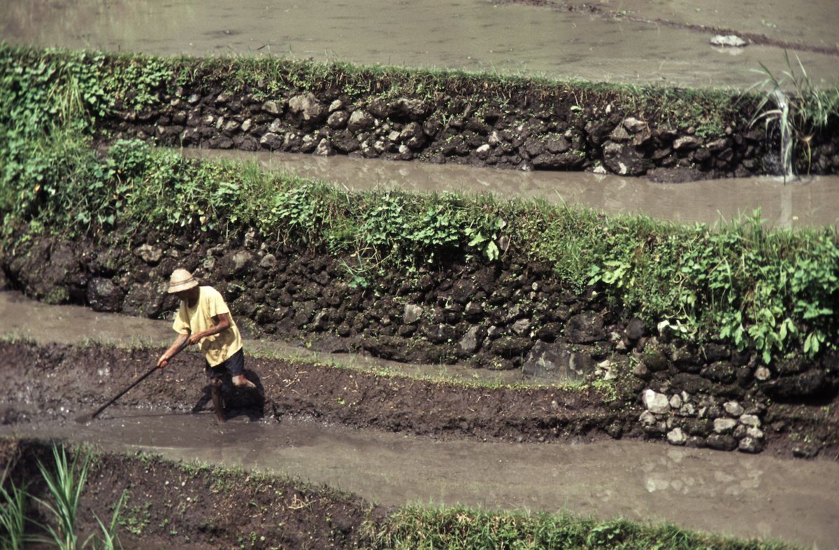bali 1995