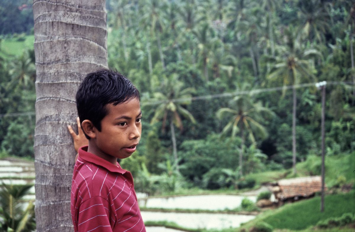 bali 1995