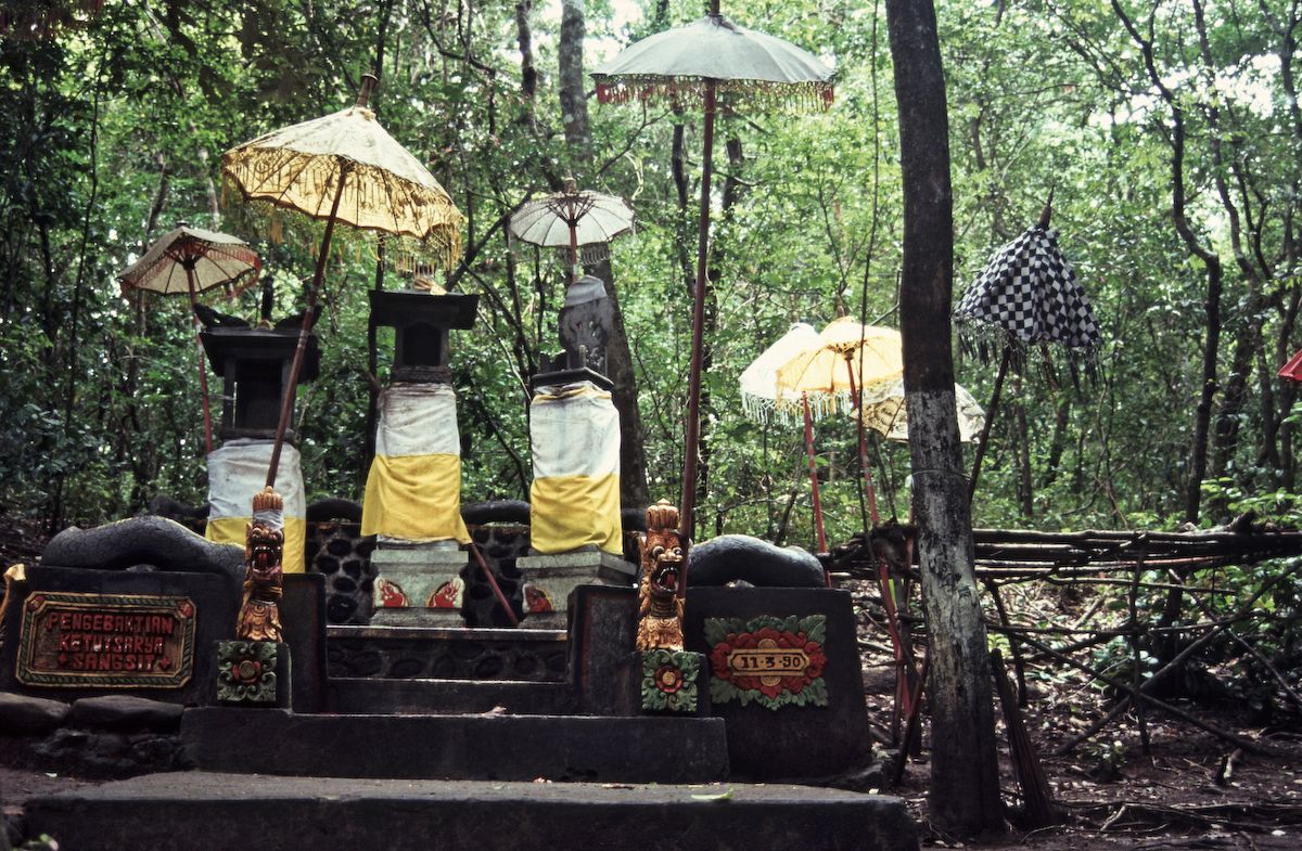 bali 1995