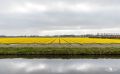 keukenhof