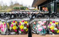 keukenhof