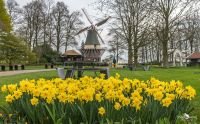 keukenhof