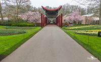keukenhof