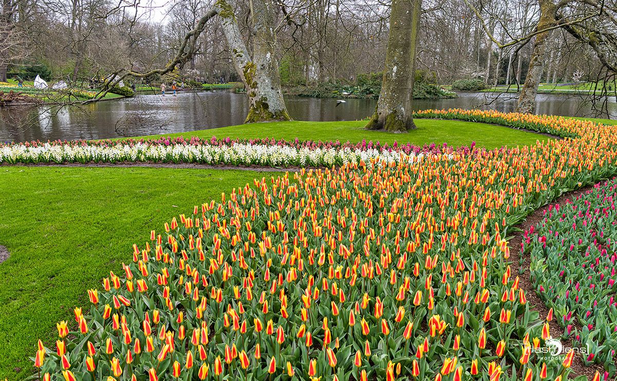 keukenhof