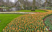 keukenhof