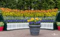 keukenhof