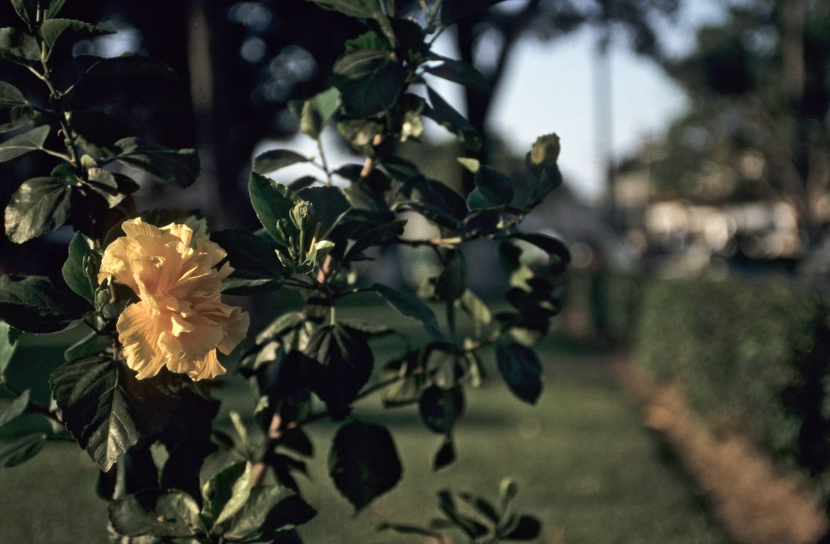 mexiko 1999