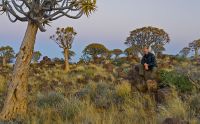04 quivertree forest