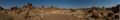 04 quivertree forest