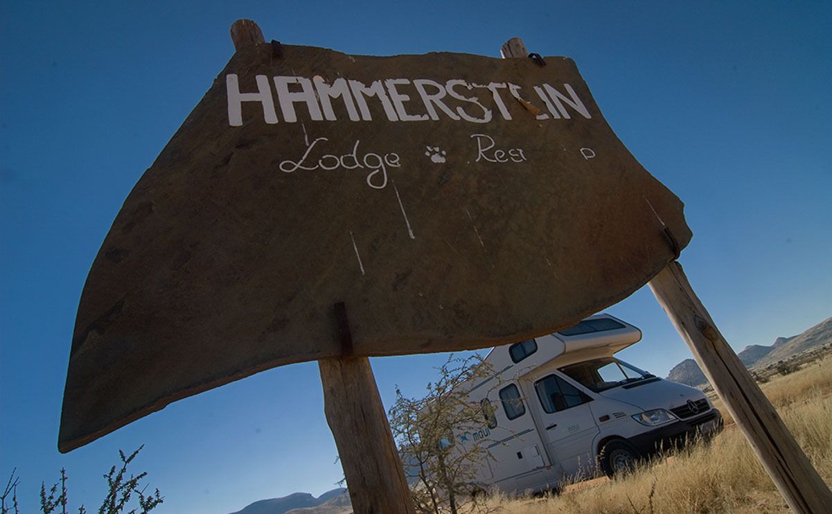 09 hammerstein