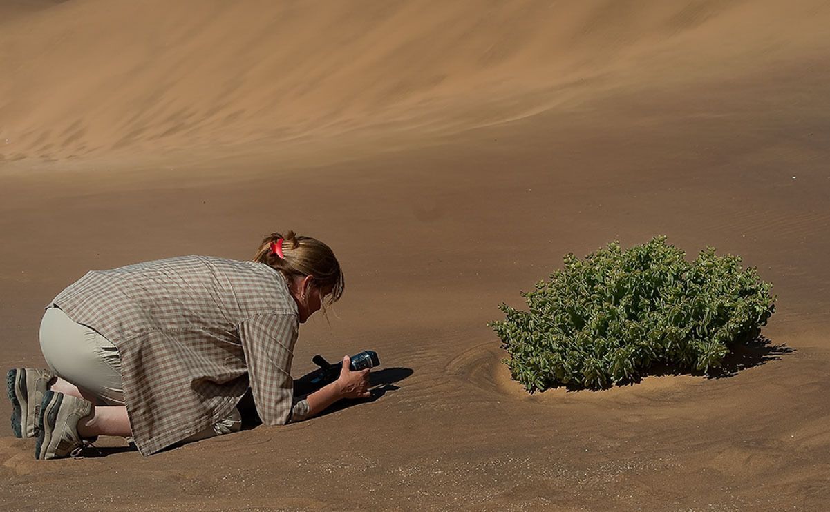 11 swakopmund
