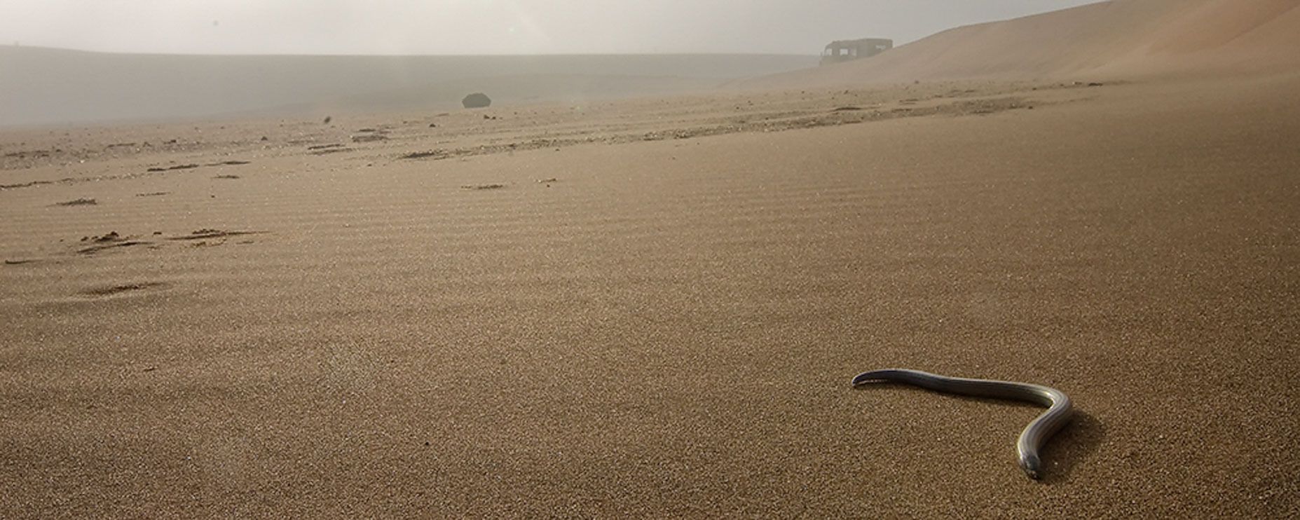 11 swakopmund