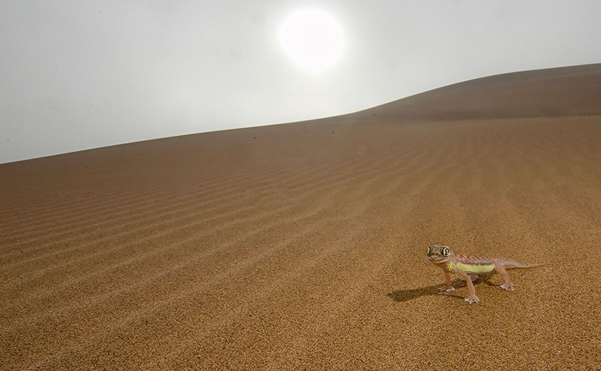 11 swakopmund