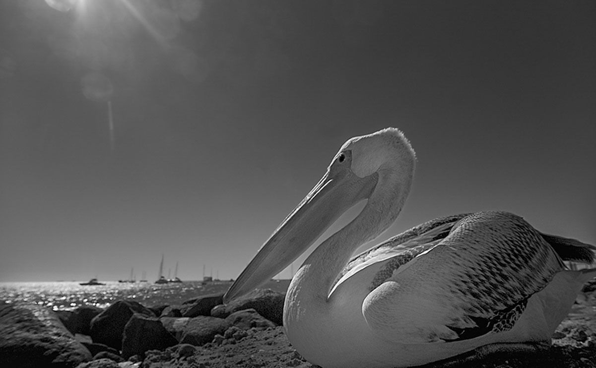 11 swakopmund