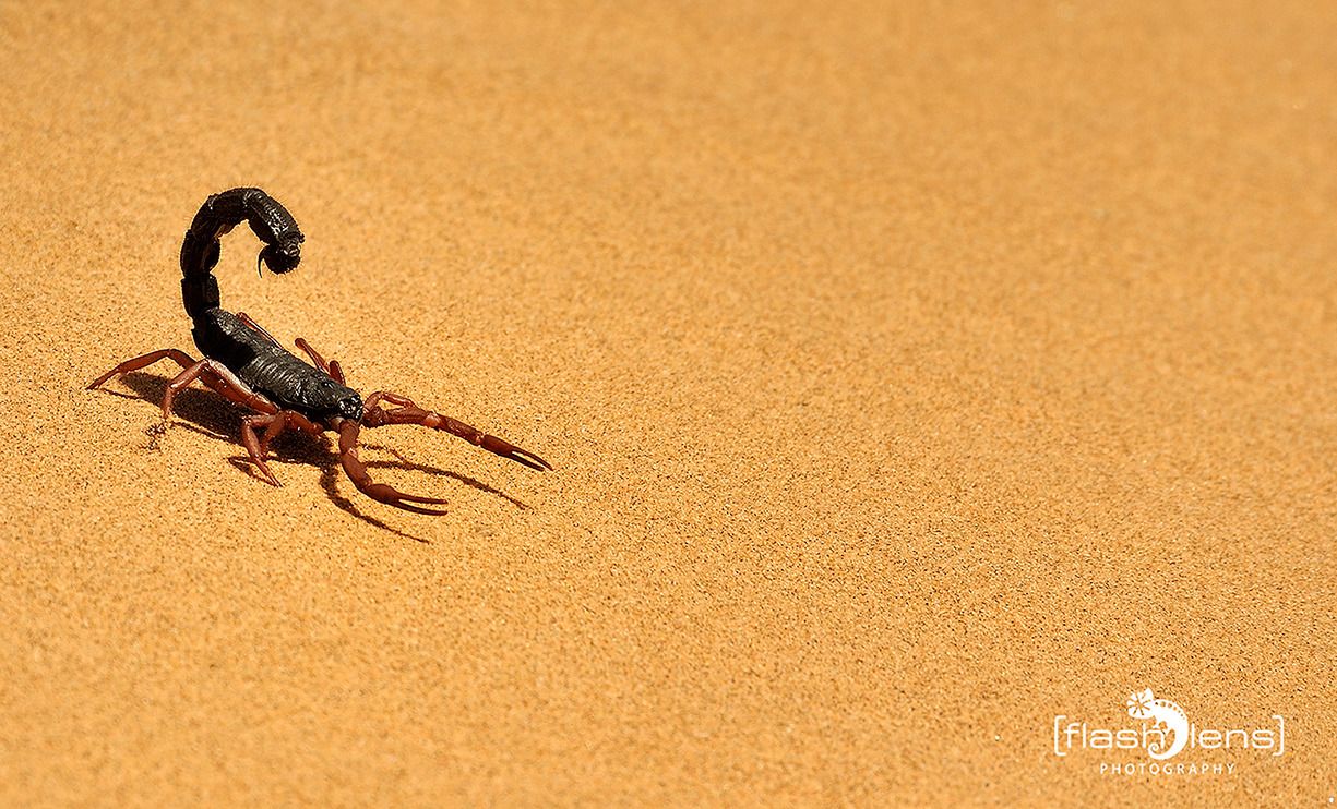 08 swakopmund