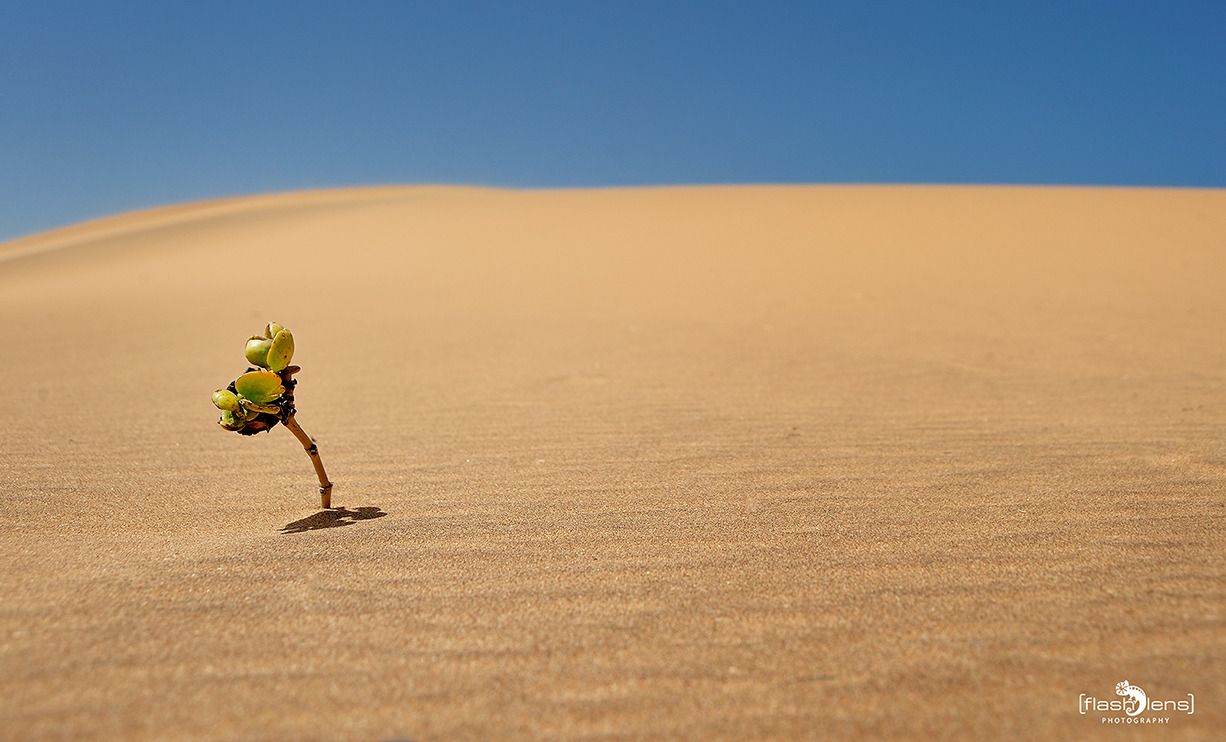 08 swakopmund