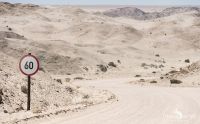 03 welwetschia drive