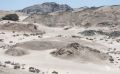 03 welwetschia drive