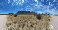 03 welwetschia drive