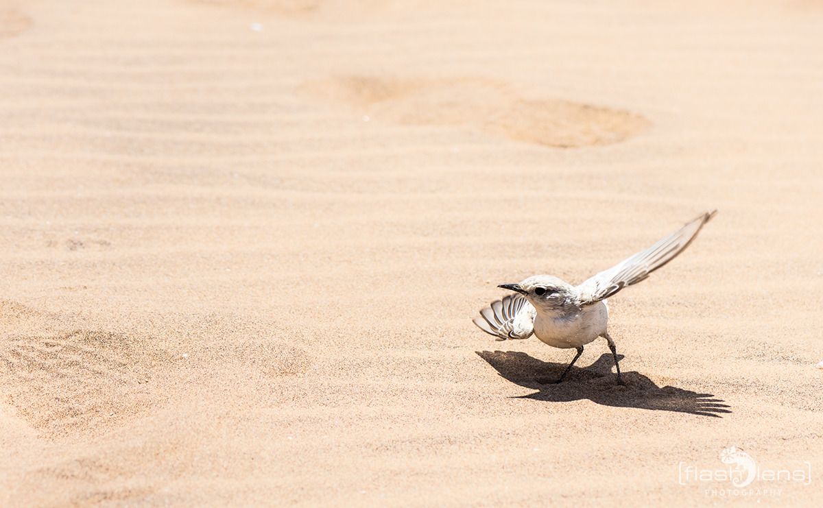 03 swakopmund