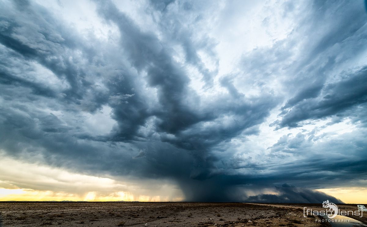06 etosha