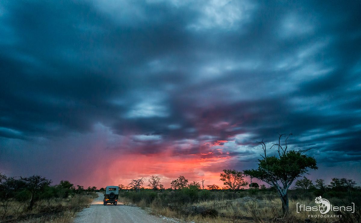 06 etosha