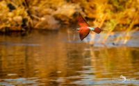 02 nunda river lodge