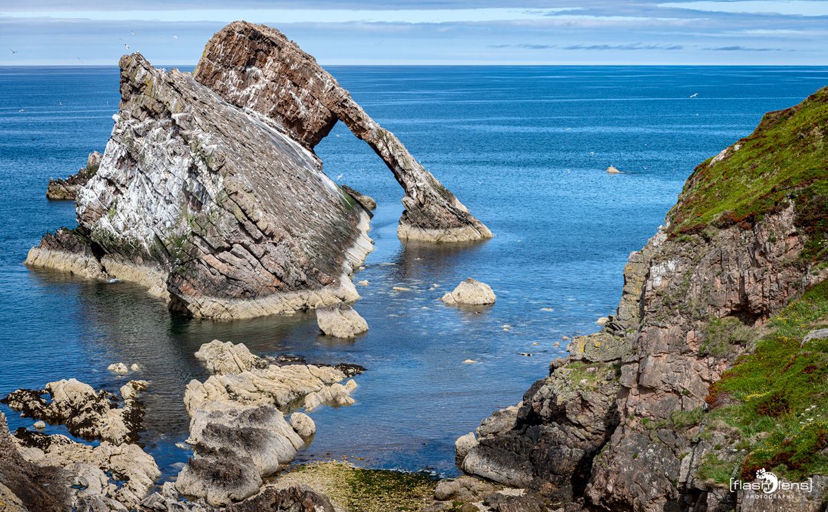 0061 bow fiddle rock