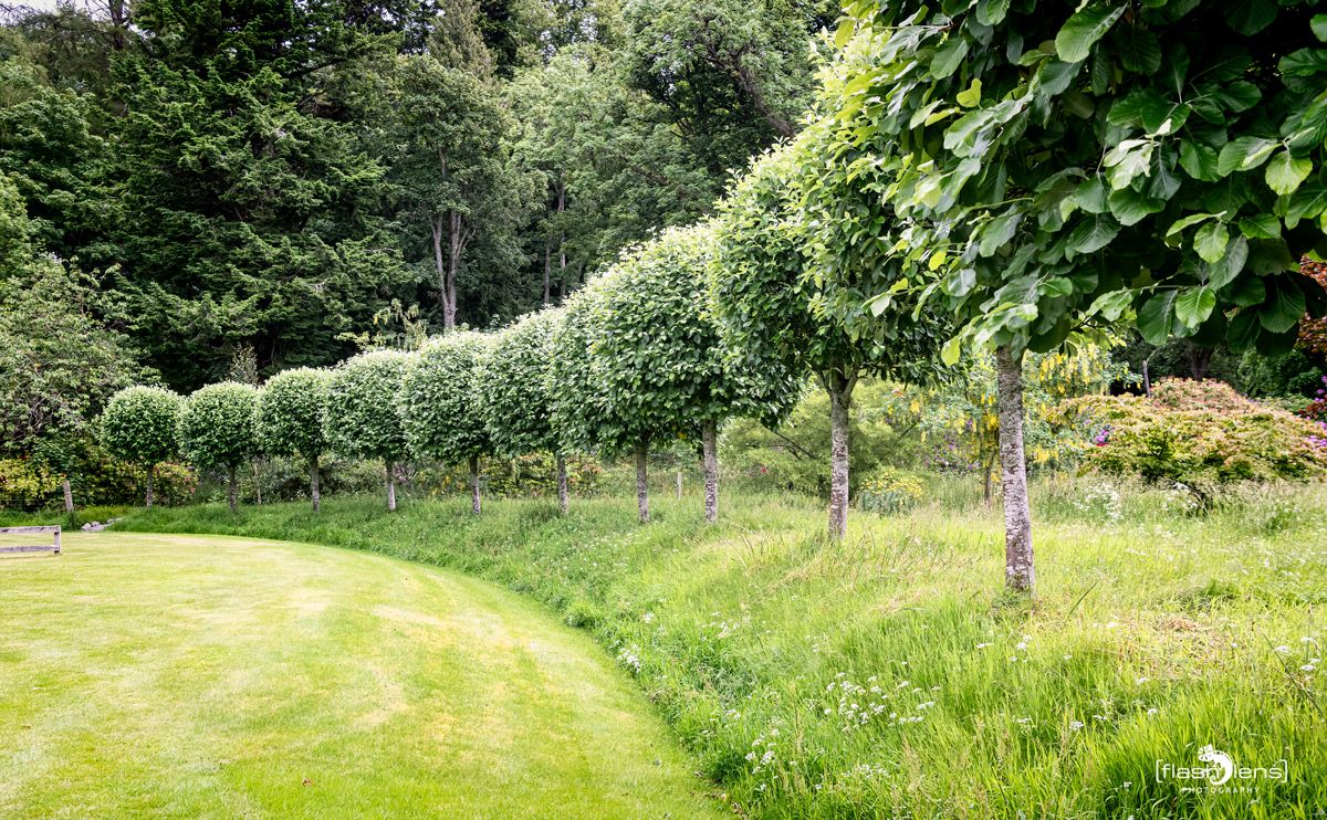 0062 baldoral castle