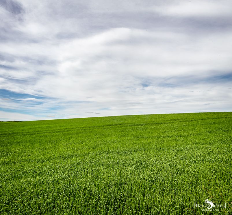 0067 fowlsheught cliffs