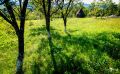 05 kirche nasterea