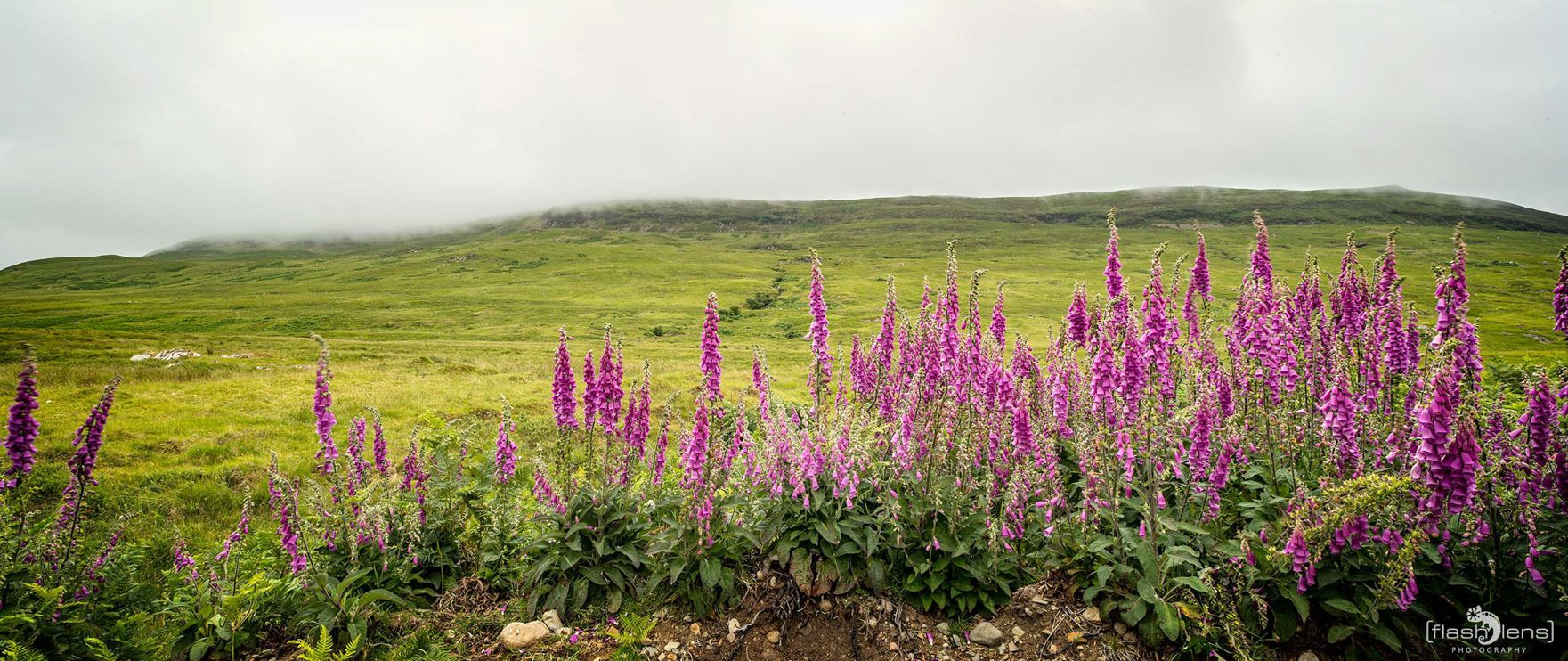 01 ardnamurchan