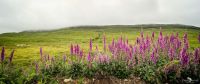 01 ardnamurchan