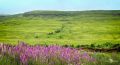 01 ardnamurchan