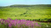 01 ardnamurchan