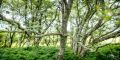 01 ardnamurchan