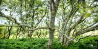 01 ardnamurchan