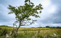 01 ardnamurchan