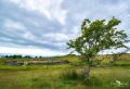 01 ardnamurchan