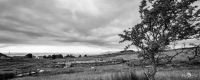 01 ardnamurchan