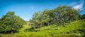 01 ardnamurchan