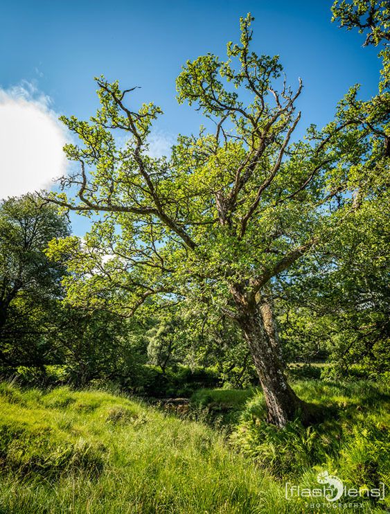01 ardnamurchan