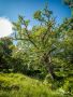 01 ardnamurchan