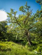 01 ardnamurchan
