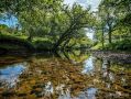 01 ardnamurchan