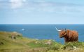 02 galloways