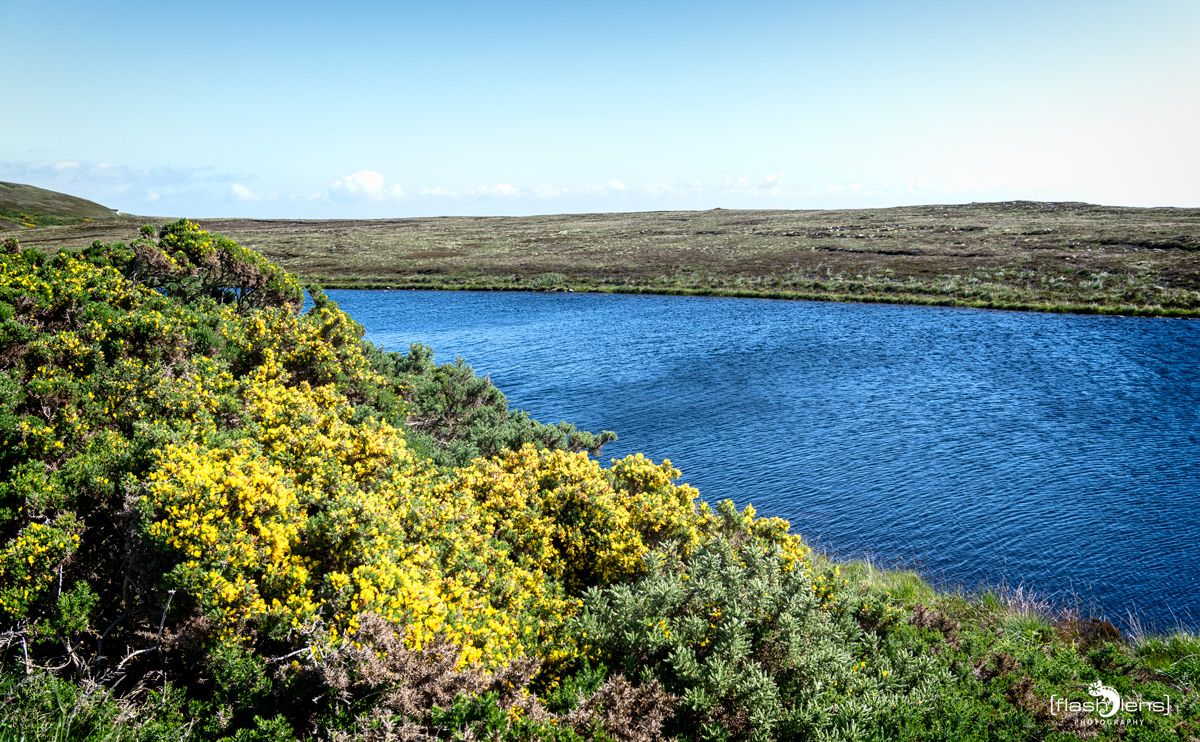 0044 strathy point lighthouse