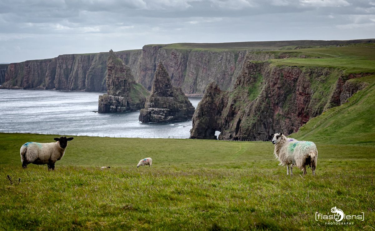 0044 strathy point lighthouse